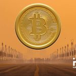 indiya-bitkoin-bitcoin.jpg