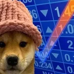 kriptovalyuta-dogwifhat-token-wif-jpg.webp.webp