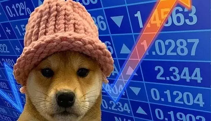 kriptovalyuta-dogwifhat-token-wif-jpg.webp.webp