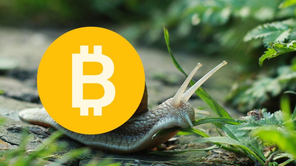 btc-snail.jpg
