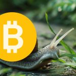 btc-snail.jpg