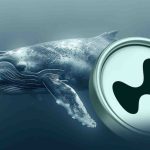hyperliquid-whale-invest.jpg