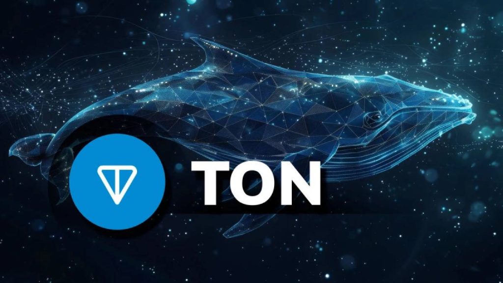 toncoin-whale-1-1.jpg