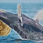 bitcoin-whale.jpg