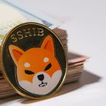 shiba-inu-kriptovalyuta-shib.jpg