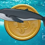 bitkoin-kriptovalyuta-bitcoin-kit-jpg.webp.webp