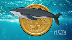 bitkoin-kriptovalyuta-bitcoin-kit-jpg.webp.webp