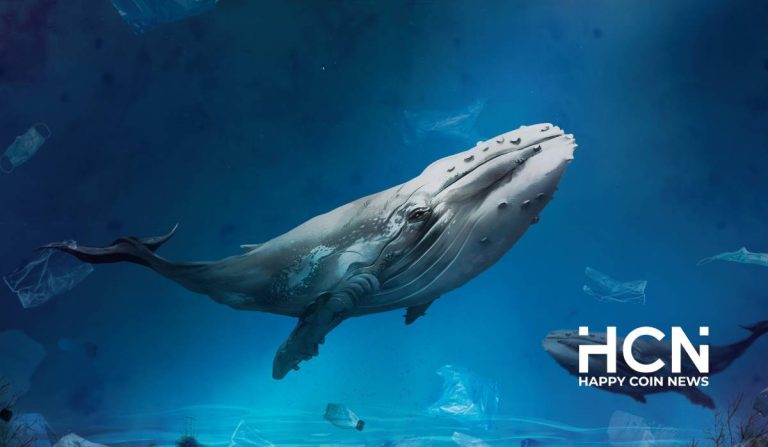 white-whale-kit-happy-coin-news.jpg